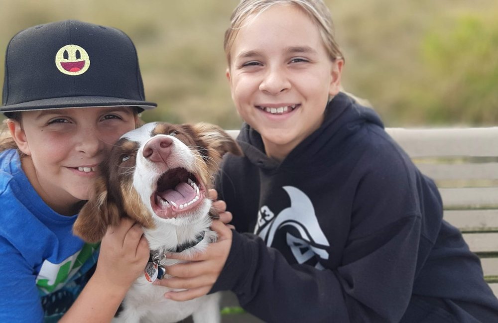 Two children outdoors with a dog
